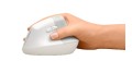 Logitech Mysz Lift Biała 910-006475 