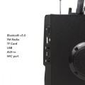 Audiocore Głośnik Bluetooth radio USB Audiocore AC730 
