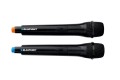 Blaupunkt Głośnik PartyBox PB12DB PLL FM USB/SD/BT 2xKaraoke Full LED