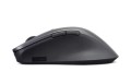 Lenovo Profesjonalna mysz z Bluetooth i akumulatorem 4Y51J62544 