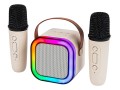BLOW Głośnik Bluetooth Karaoke RGB 