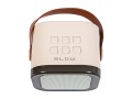 BLOW Głośnik Bluetooth Karaoke RGB 