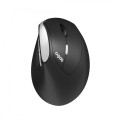 RAPOO Mysz ergonomiczna bezprzewodowa EV250 
