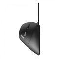 RAPOO Mysz ergonomiczna przewodowa EV200 