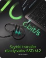 IcyBox Stacja klonująca+dockująca dla 2xNVMe M.2SSD IB-1612MCL-C31 