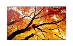 Sharp Monitor MultiSync M322 32 cale 24/7 